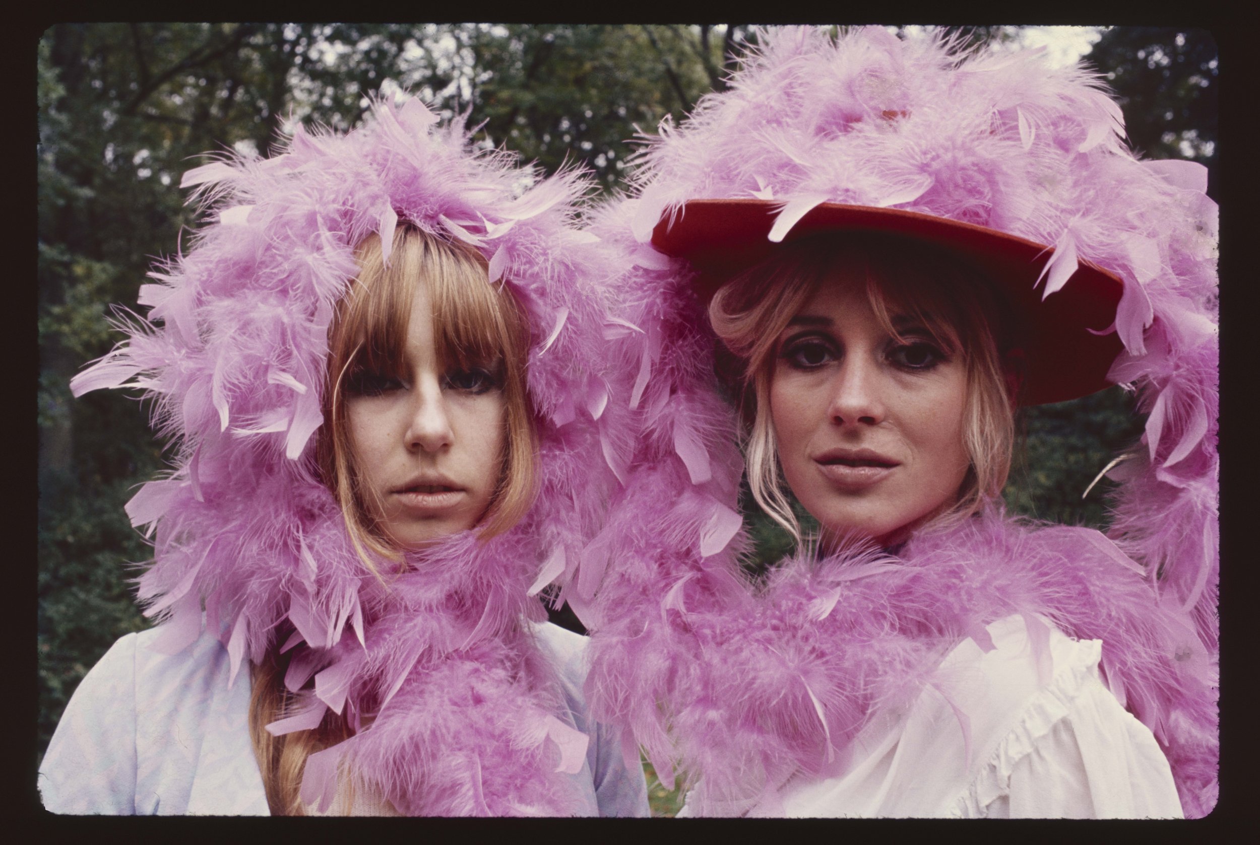 Blogs — Frank Habicht